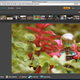 Illustration for article titled Adobe Photoshop Express Now Live: Free Online Photoshop for Everyone